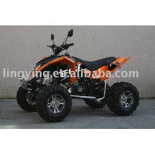 250CC RAPTOR AGRESSIVO CEE ATV